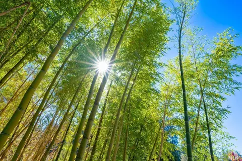 Other - 20205 Tumbling Mcd Rd, Philo, CA 95466 photo 9 of 19