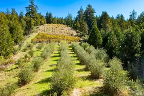 Other - 20205 Tumbling Mcd Rd, Philo, CA 95466 photo 12 of 19