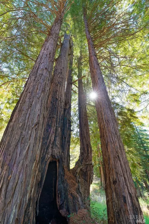 Other - 20205 Tumbling Mcd Rd, Philo, CA 95466 photo 15 of 19