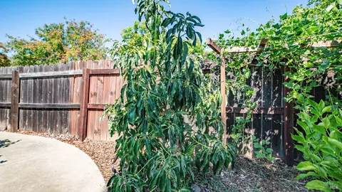 Exterior - 2231 Silver Fox Cir, Fairfield, CA 94534 photo 26 of 28