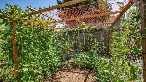 Other - 2231 Silver Fox Cir, Fairfield, CA 94534 photo 18 of 18