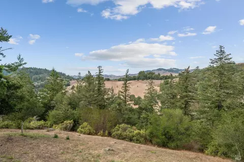 Other - 48 Los Pinos Spur, Nicasio, CA 94946 photo 19 of 26