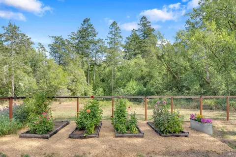 3020 Burnside Rd, Sebastopol, CA 95472 photo 29