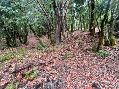 1817 Clover Dr, Willits, CA 95490 photo 6