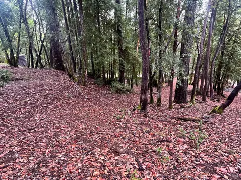 1817 Clover Dr, Willits, CA 95490 photo 4