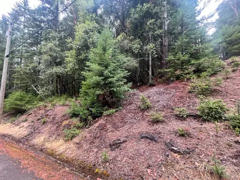 1817 Clover Dr, Willits, CA 95490 photo 3