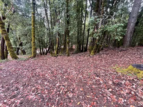 1817 Clover Dr, Willits, CA 95490 photo 5