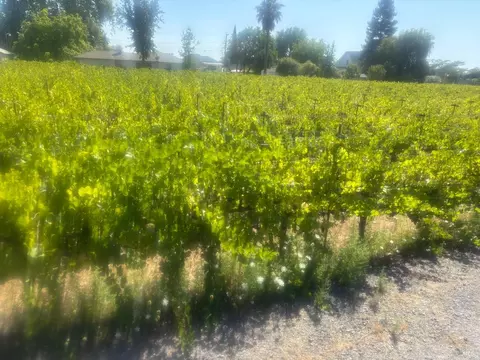 0 Hart Ln, Fulton, CA 95439 photo 2