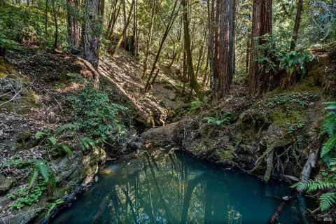 View/Area - 4901 Little Mill Creek Rd, Philo, CA 95466 photo 3 of 3