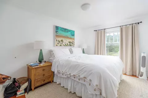 65 Summit Ave, Mill Valley, CA 94941 photo 29