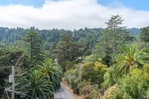 65 Summit Ave, Mill Valley, CA 94941 photo 37