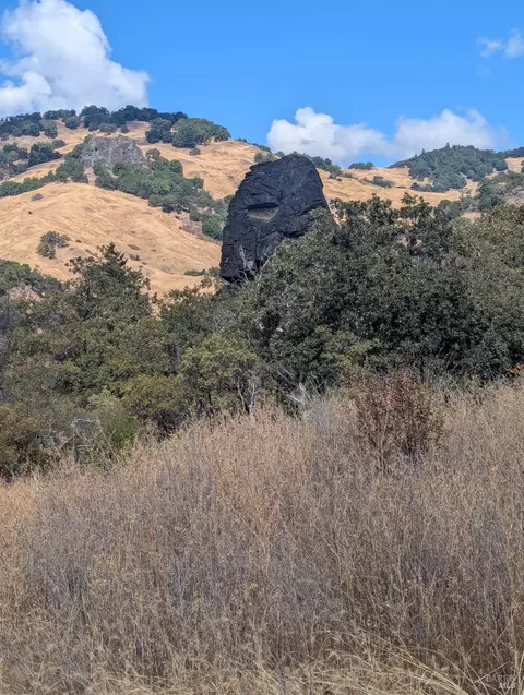 59002 George Washington Rock Rd, Leggett, CA 95585