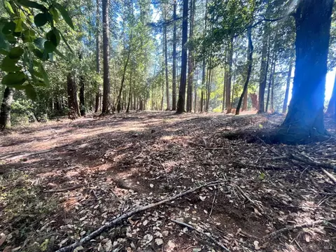 25201 Sherwood Rd, Willits, CA 95490 photo 5