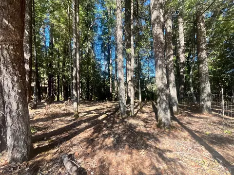25201 Sherwood Rd, Willits, CA 95490 photo 3