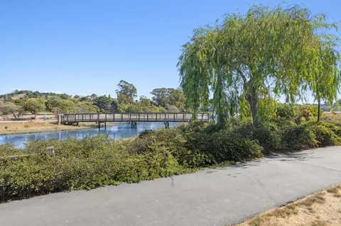 775 Miller Ave, Mill Valley, CA 94941 photo 45