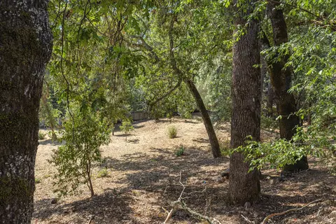 Exterior - 525 Keyes Ave, Angwin, CA 94508 photo 14 of 22
