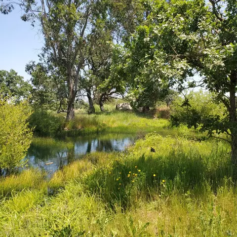 View/Area - 6060 Oak Ave, Cotati, CA 94931 photo 1 of 2