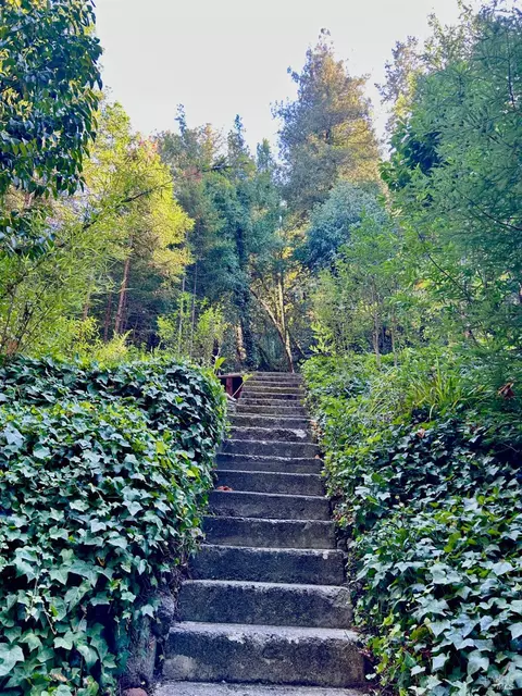 18090 Hwy 116 Hwy, Guerneville, CA 95446