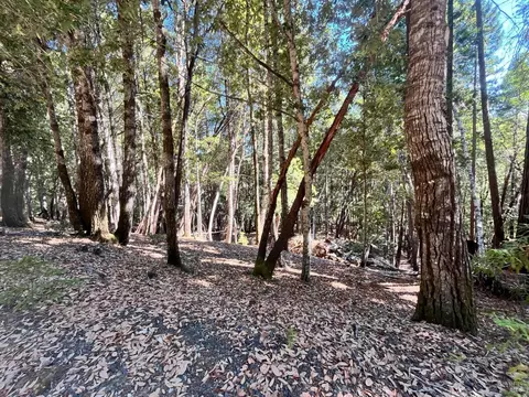 26093 Otter Dr, Willits, CA 95490 photo 5
