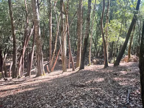 26093 Otter Dr, Willits, CA 95490