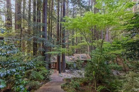 524 Cascade Dr, Mill Valley, CA 94941 photo 42