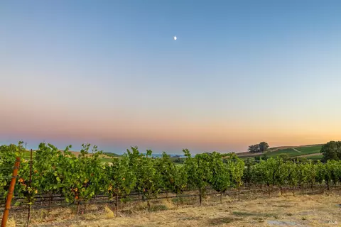 1299 Duhig Rd, Napa, CA 94559