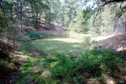 3600 Blackhawk Dr, Willits, CA 95490