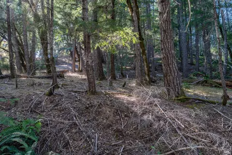 4070 Williams Ranch Rd, Willits, CA 95490 photo 49