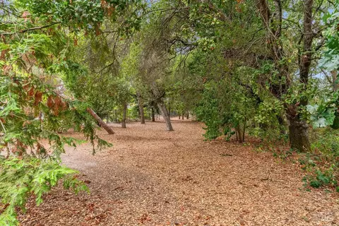 6167 Tamara Ln, Windsor, CA 95492 photo 59