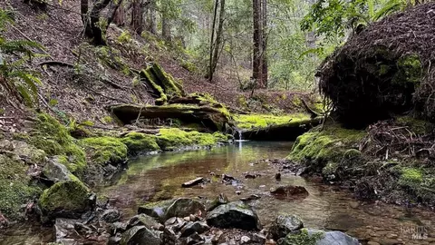Other - 2333 Guntley Rd, Philo, CA 95466 photo 18 of 23