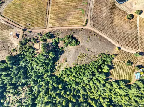 View/Area - 2333 Guntley Rd, Philo, CA 95466 photo 3 of 6
