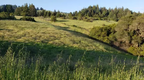 Other - 2333 Guntley Rd, Philo, CA 95466 photo 21 of 23