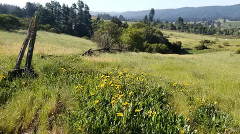 Other - 2333 Guntley Rd, Philo, CA 95466 photo 19 of 23