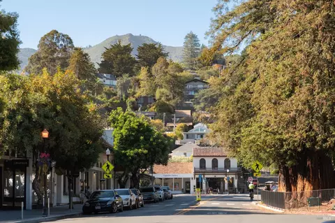 Other - 32 Mountain View Ave, Mill Valley, CA 94941 photo 6 of 15