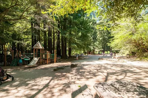 2 Marsh Dr, Mill Valley, CA 94941 photo 38