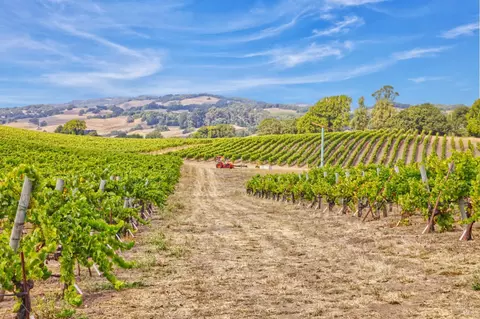 1450 Stage Gulch Rd, Petaluma, CA 94954