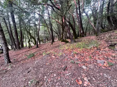 1832 Tulip Pl, Willits, CA 95490 photo 2