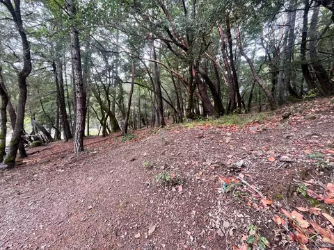 1832 Tulip Pl, Willits, CA 95490 photo 4