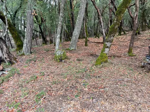 1832 Tulip Pl, Willits, CA 95490