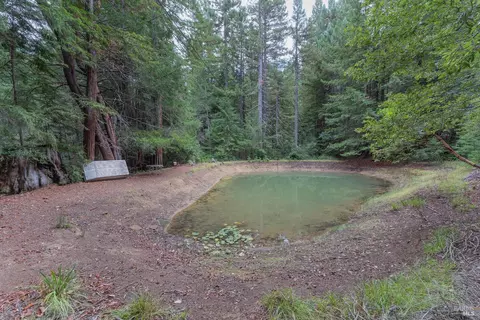 30651 Timberline Rd, Willits, CA 95490 photo 34