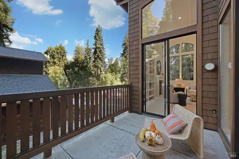 48 Miller Ave, Mill Valley, CA 94941 photo 7