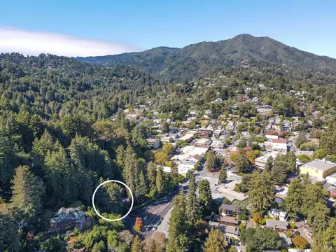 48 Miller Ave, Mill Valley, CA 94941 photo 39