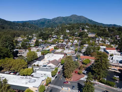 48 Miller Ave, Mill Valley, CA 94941 photo 42