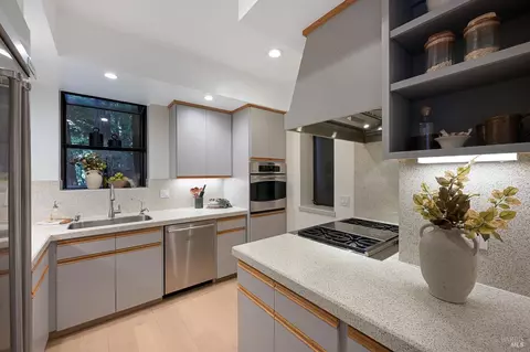48 Miller Ave, Mill Valley, CA 94941 photo 15