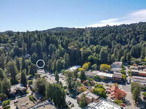 48 Miller Ave, Mill Valley, CA 94941 photo 40