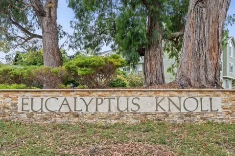 Other - 121 Eucalyptus Knoll St, Mill Valley, CA 94941 photo 8 of 10