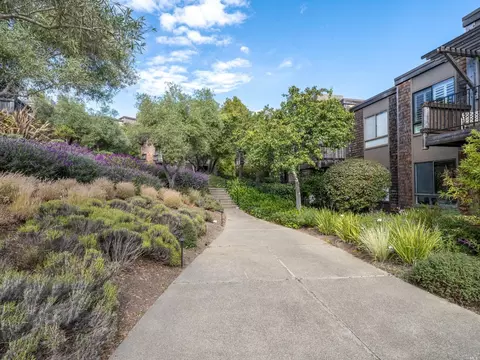 554 Seaver Dr, Mill Valley, CA 94941 photo 31