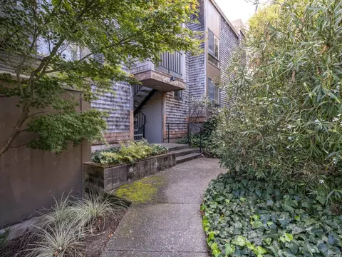 554 Seaver Dr, Mill Valley, CA 94941 photo 25