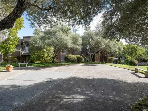 554 Seaver Dr, Mill Valley, CA 94941 photo 29