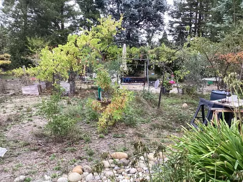 317 Windflower Ct, Windsor, CA 95492 photo 11
